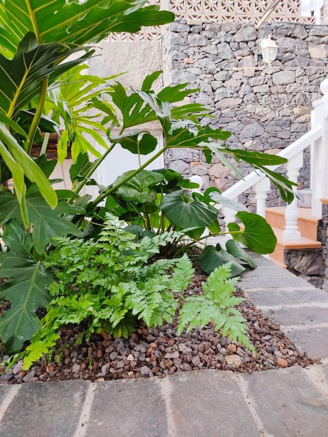 Casa Sol Y Montana Villa Alojera Екстериор снимка